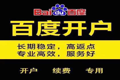 百度推广平台案例集锦：成功案例背后的故事